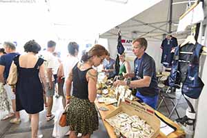 marathon Royan Charente-Maritime