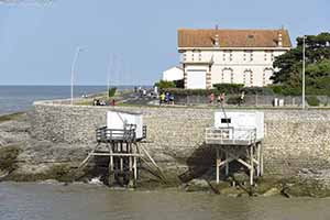 marathon Royan Charente-Maritime