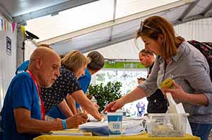 marathon Royan Charente-Maritime
