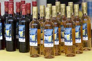 marathon Royan Charente-Maritime