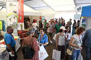 marathon Royan Charente-Maritime