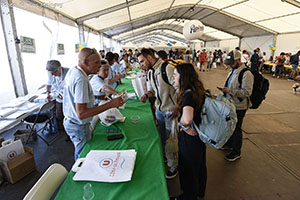 marathon Royan Charente-Maritime