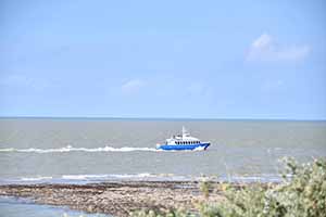 marathon Royan Charente-Maritime